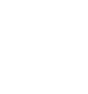 SSL 